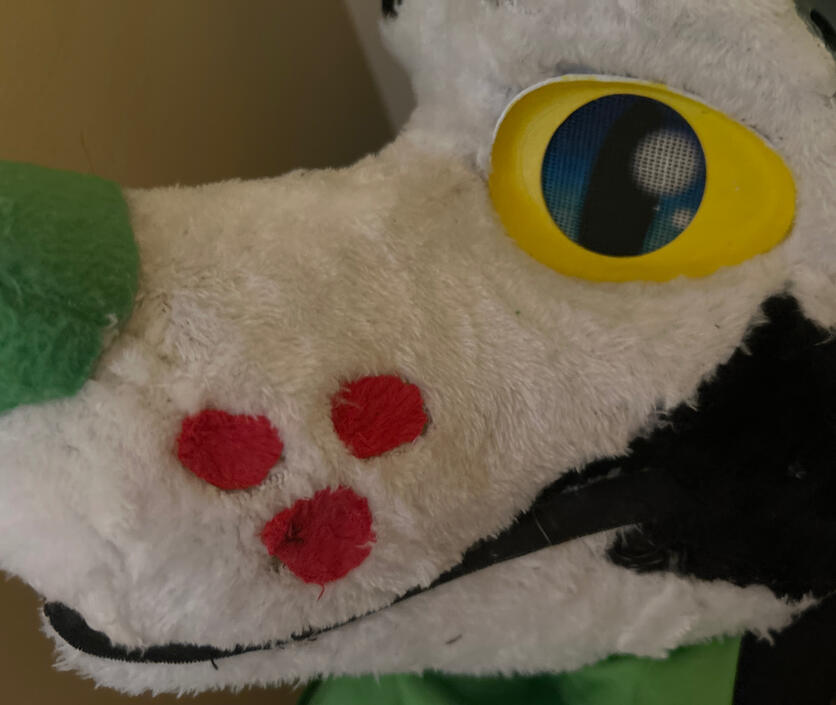 Fursuit head